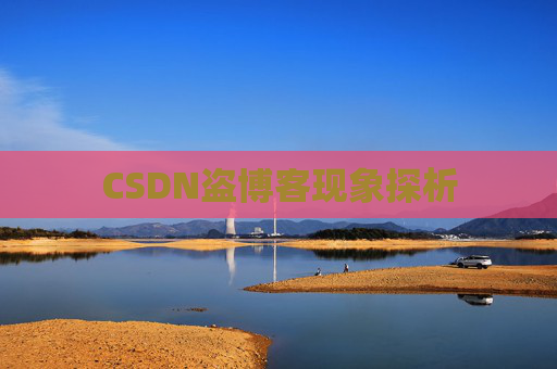 CSDN盗博客现象探析
